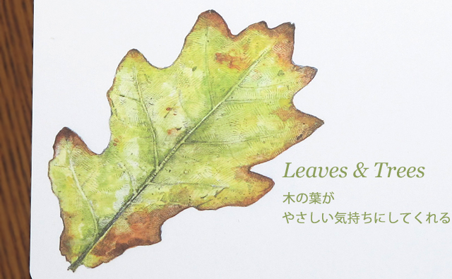 木の葉