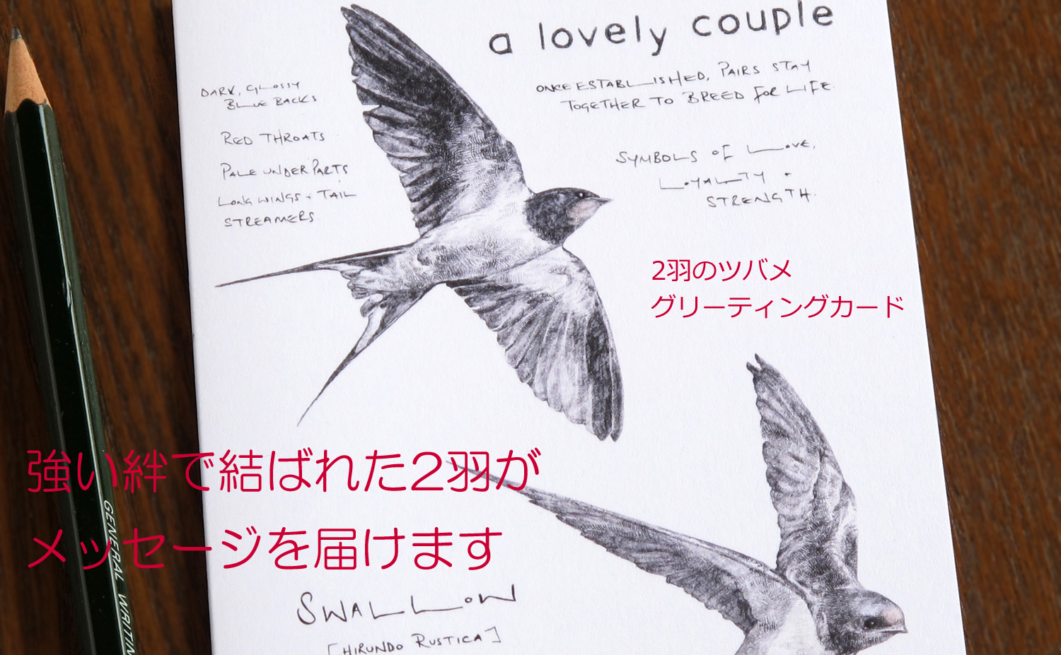 2羽のツバメ